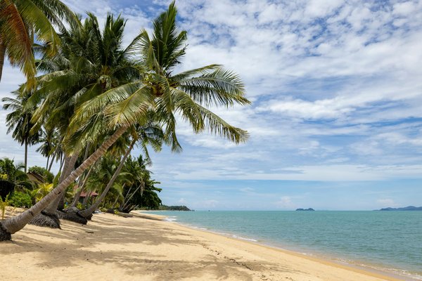 Les Secrets de la Tour Eiffel au Cœur des Conflits Mondiaux : Un Voyage Historique Engagé