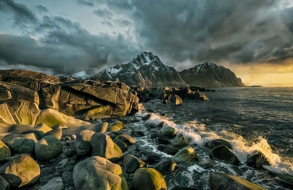 Évasion au cœur des vignobles : l'art du tourisme viticole